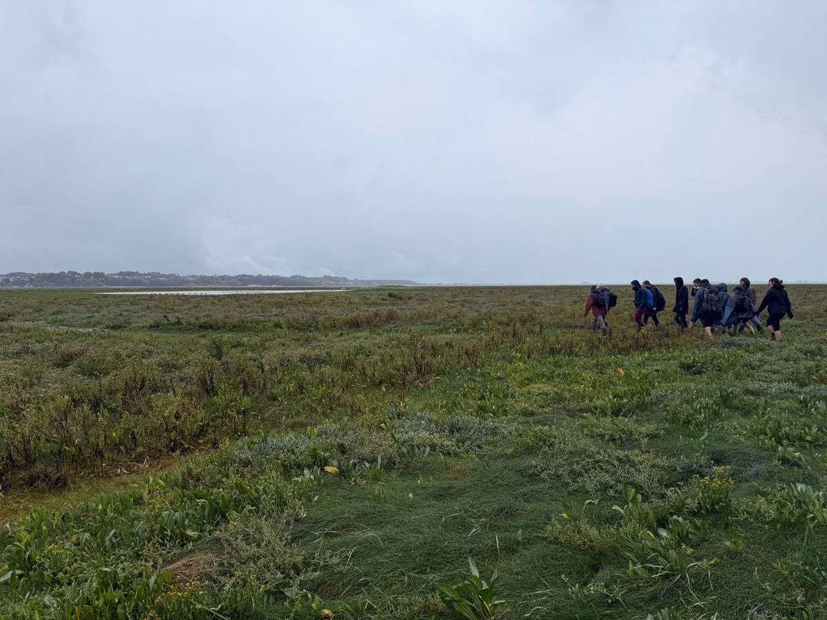 Le groupe marche dans les prés salés sous un ciel gris